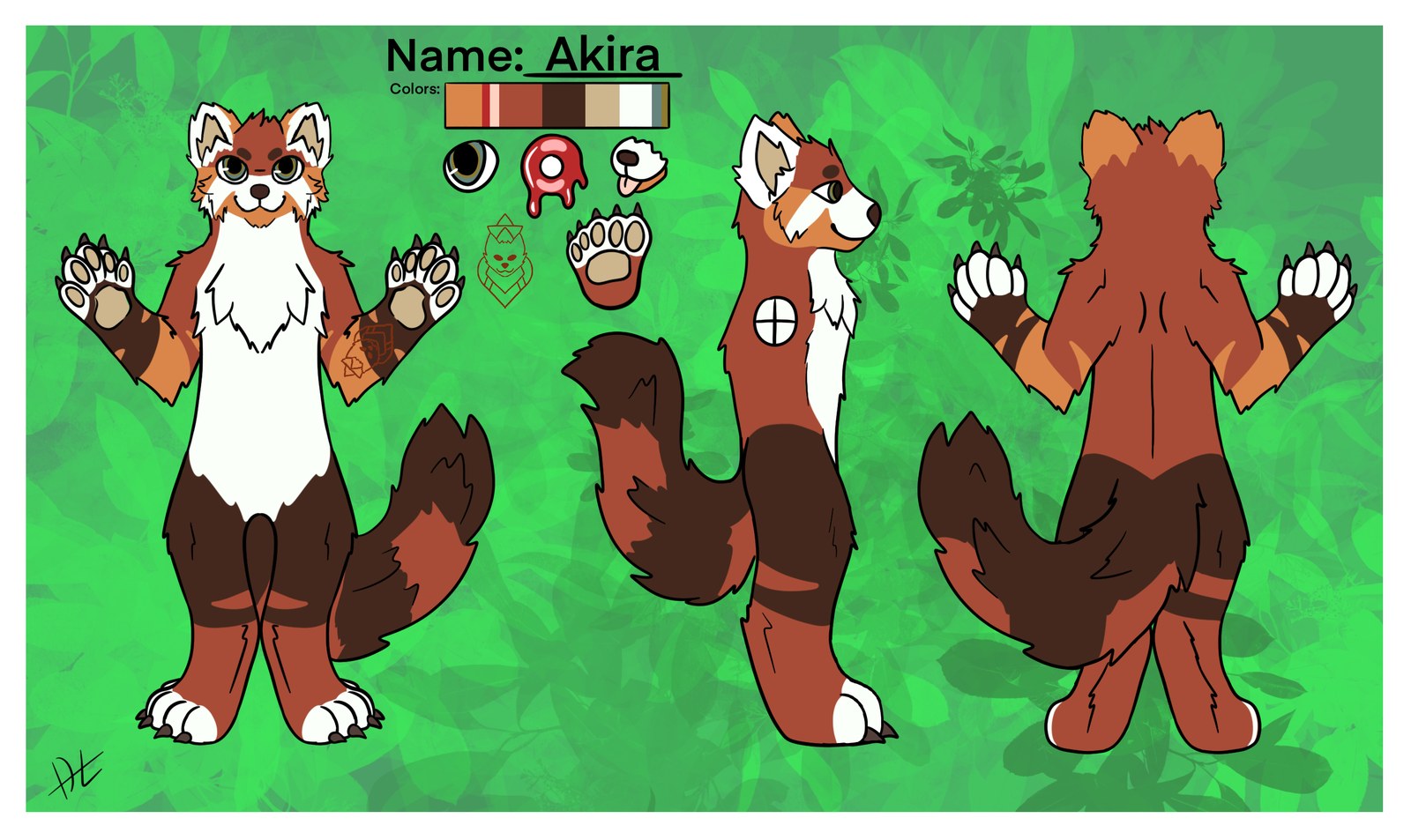Reference sheet of Akira by DarkL – red panda in front, side and back view with color palette, detail studies and tattoo motif