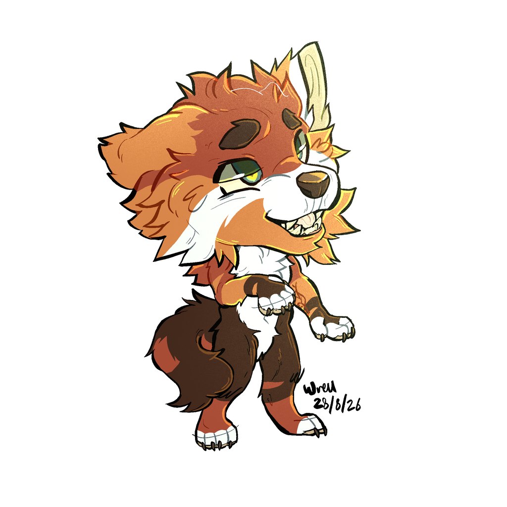 Akira full body in color: rust and orange coat, white muzzle and chest, cream brow marks, dark brown limbs and tail, white paws — by Wren