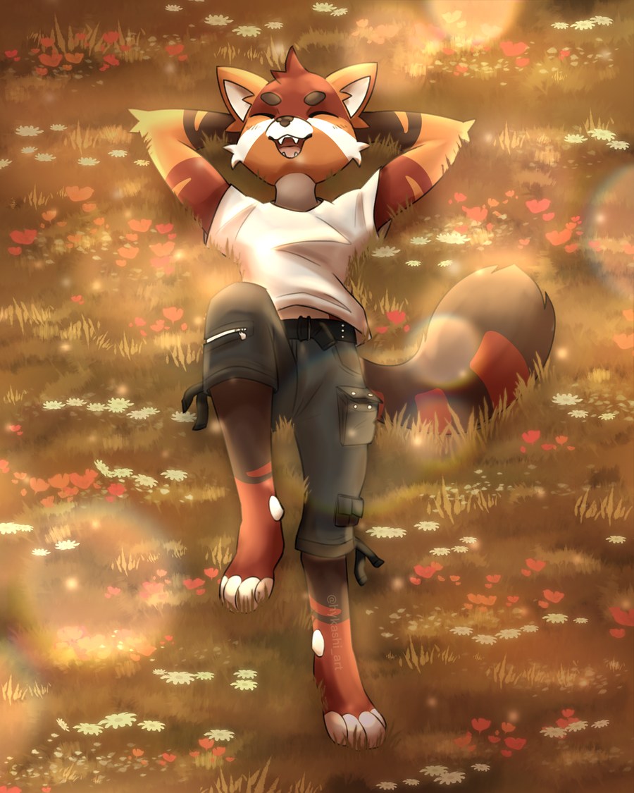 Akira lying back in a flower meadow at golden hour, arms folded behind the head, eyes closed and smiling, wearing a white t-shirt and grey cargo pants — by Hykashi